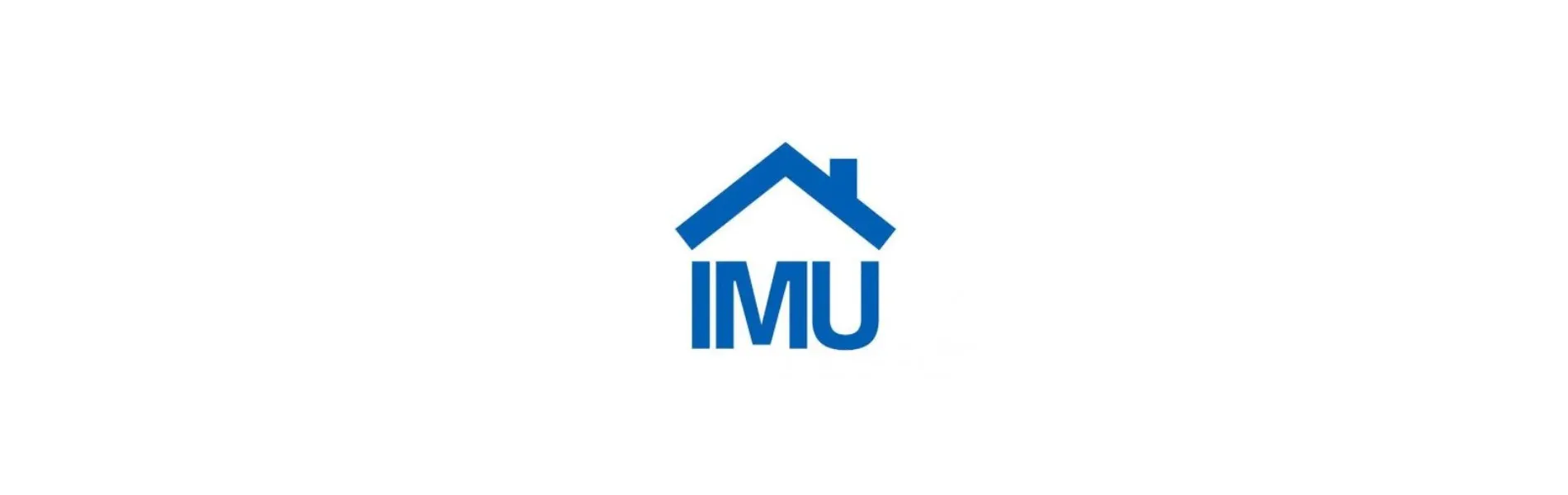 IMU